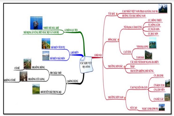 Sơ đồ tư duy môn Địa lý lớp 12 ôn thi tốt nghiệp THPT