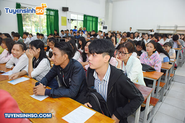 Thông tin tuyển sinh trường Cao đẳng Đại Việt Sài Gòn