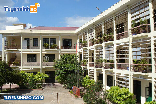 Góc nhìn khuôn viên xanh mát tại Đại học Nội vụ Hà Nội ở TP.HCM