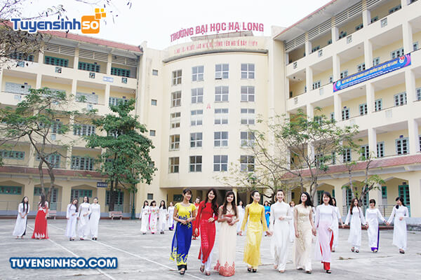 Trường Đại học Hạ Long