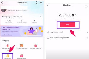 Các cách kiếm tiền trên Tiktok cho học sinh, sinh viên
