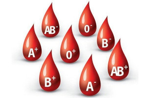 Nhóm máu của bạn phù hợp với ngành nghề nào?